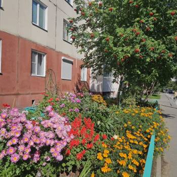 Сдается 2-х комнатная квартира, 50 м²