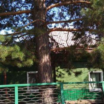 Продается Дом, 50,7 м²