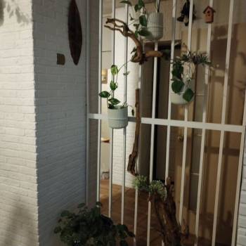 Сдается Комната, 16 м²