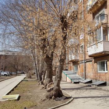 Сдается 2-х комнатная квартира, 44 м²