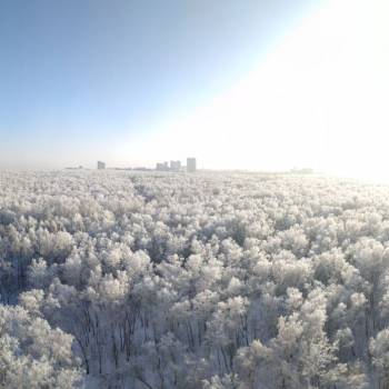 Сдается 1-комнатная квартира, 32,6 м²