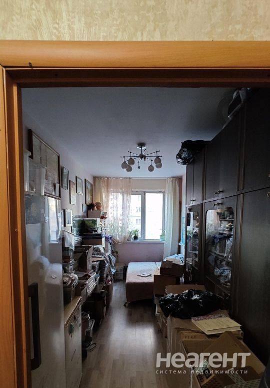 Фотография №3