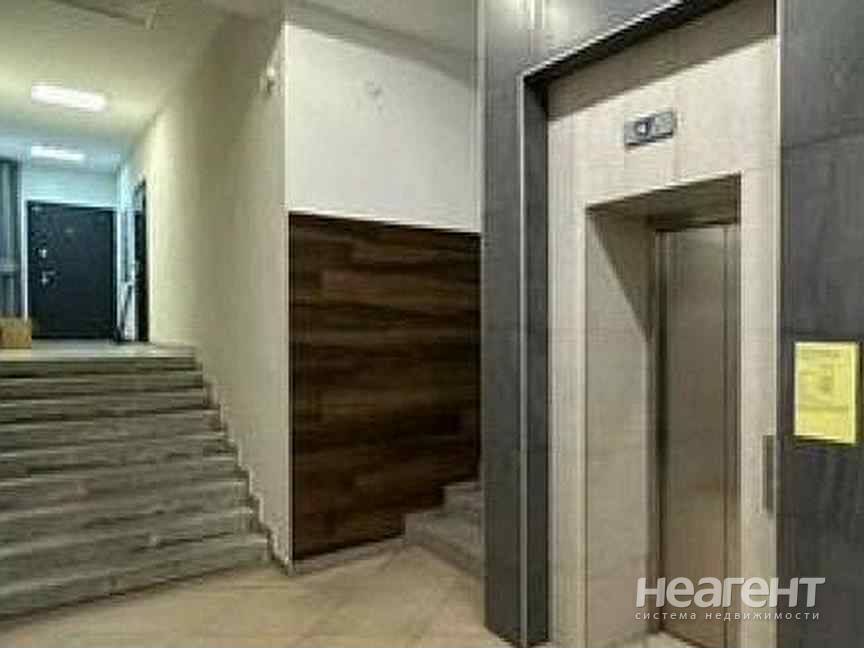 Фотография №3