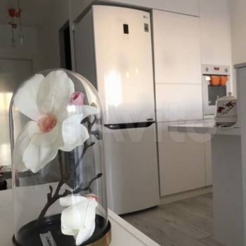 Продается 1-комнатная квартира, 20,8 м²