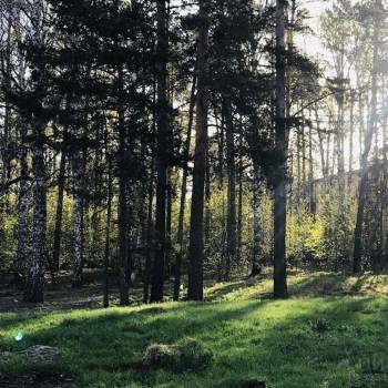 Сдается 1-комнатная квартира, 38,5 м²