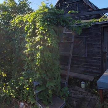 Продается Участок, 300 м²