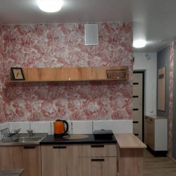 Сдается 1-комнатная квартира, 24 м²