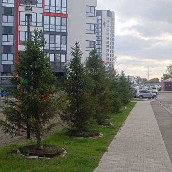 Сдается 1-комнатная квартира, 27 м²