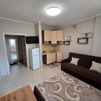 Сдается 1-комнатная квартира, 20,2 м²