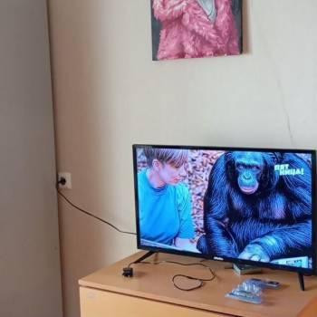 Сдается 1-комнатная квартира, 22 м²