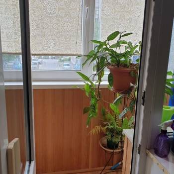 Продается Многокомнатная квартира, 78 м²