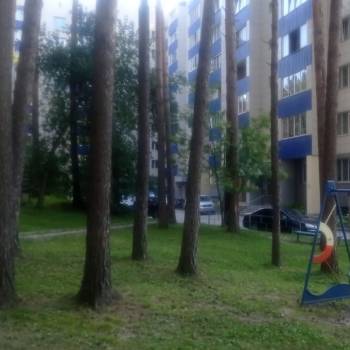 Сдается 1-комнатная квартира, 53 м²