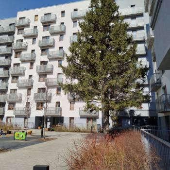 Сдается 1-комнатная квартира, 37,5 м²