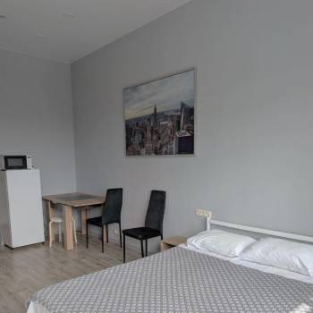 Сдается 1-комнатная квартира, 25,3 м²