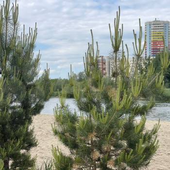 Продается 1-комнатная квартира, 25 м²