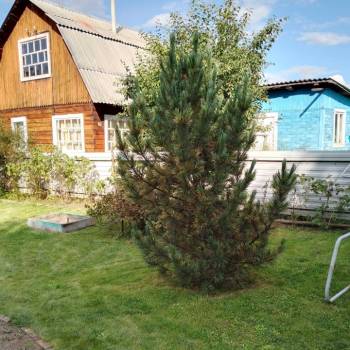 Продается Дом, 50 м²