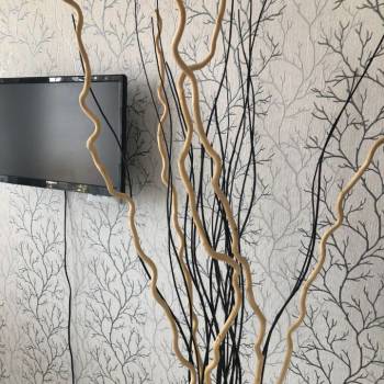 Сдается 2-х комнатная квартира, 48 м²