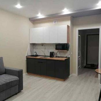 Сдается 1-комнатная квартира, 27,2 м²