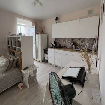 Продается 1-комнатная квартира, 25,8 м²