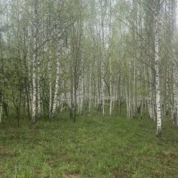 Продается Участок, 1000 м²