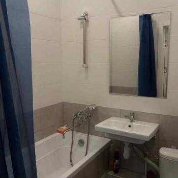 Сдается 1-комнатная квартира, 23,7 м²