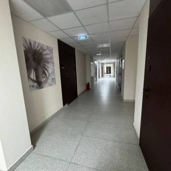 Сдается Нежилое помещение, 36 м²