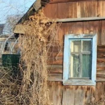 Продается Дом, 15 м²