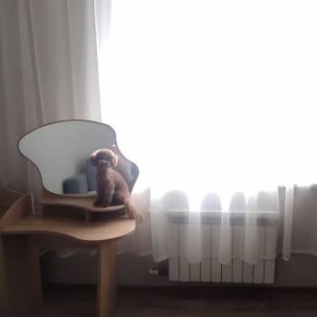 Продается 1-комнатная квартира, 21 м²