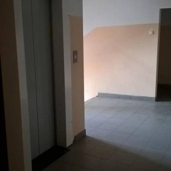 Сдается 2-х комнатная квартира, 42 м²
