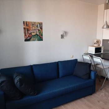 Сдается 1-комнатная квартира, 23,1 м²