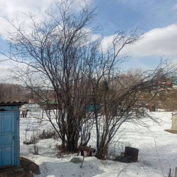 Продается Участок, 600 м²