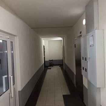 Сдается 2-х комнатная квартира, 35,1 м²