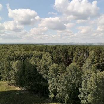 Сдается 1-комнатная квартира, 22 м²