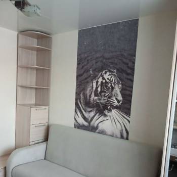 Сдается 1-комнатная квартира, 21,4 м²