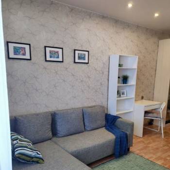 Сдается 1-комнатная квартира, 22,5 м²