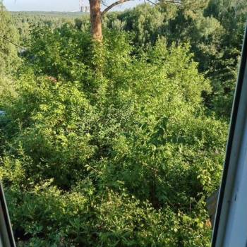 Продается Дом, 50 м²