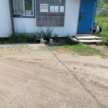 Продается Участок, 1000 м²