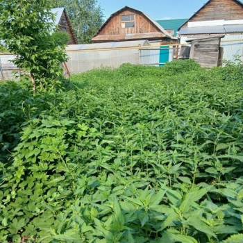 Продается Дом, 36 м²