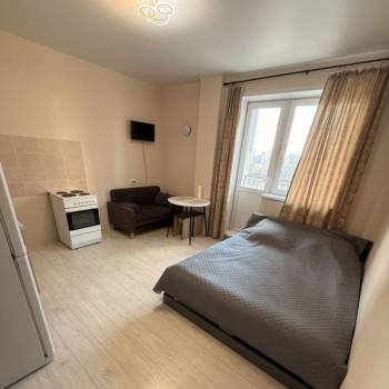 Сдается 1-комнатная квартира, 23,5 м²