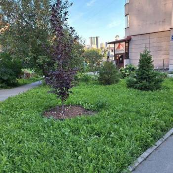 Сдается Многокомнатная квартира, 59,3 м²