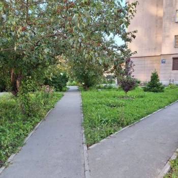 Сдается Многокомнатная квартира, 59,3 м²