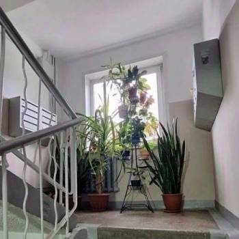 Продается 1-комнатная квартира, 31 м²