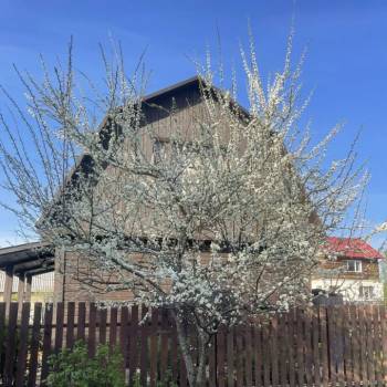 Продается Дом, 35 м²
