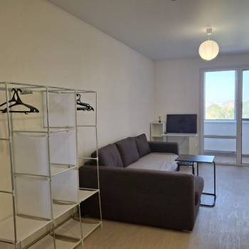 Сдается 1-комнатная квартира, 24,8 м²