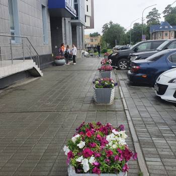 Сдается Нежилое помещение, 74 м²
