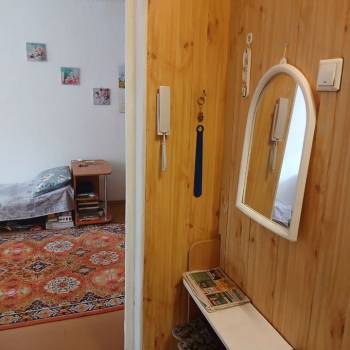 Продается 1-комнатная квартира, 29,4 м²