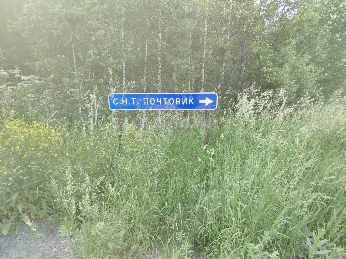 Фотография №2