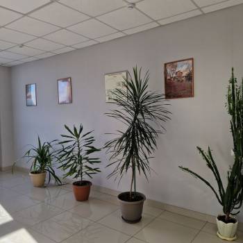 Продается Нежилое помещение, 26,1 м²
