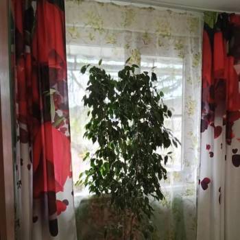 Продается Дом, 77,5 м²