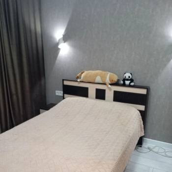 Сдается 2-х комнатная квартира, 52,28 м²
